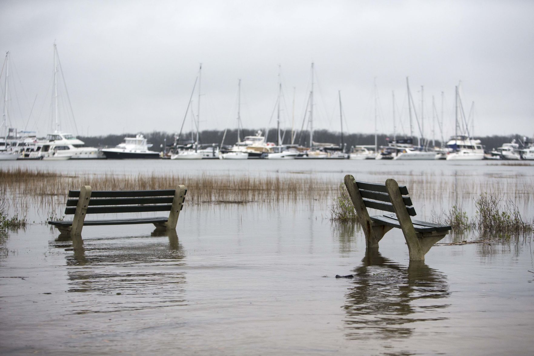 flooded benches.JPG (copy) (copy) (copy) (copy)
